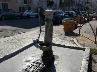 Cap d firr davanti Chiesa Santa Chiara nel centro storico